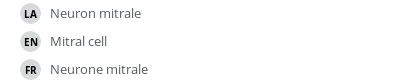 翻译