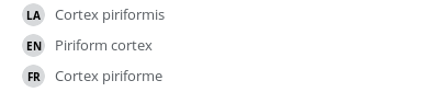 翻译