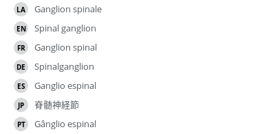 翻译