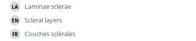 翻译