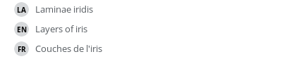 翻译