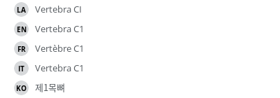 翻译