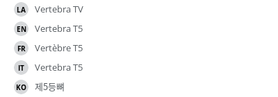 翻译