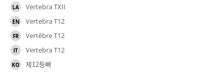 翻译