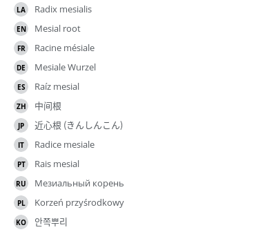 翻译