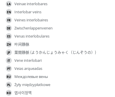 翻译