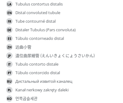 翻译