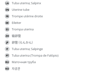 翻译