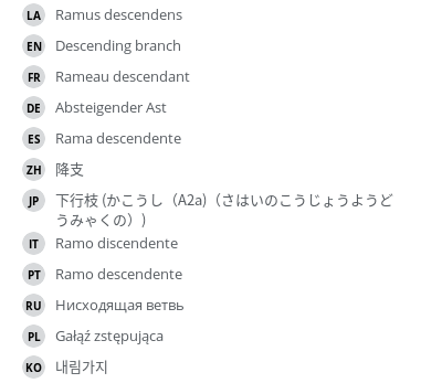 翻译