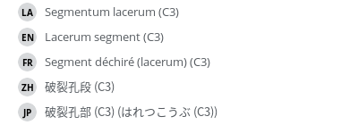 翻译