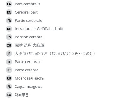 翻译