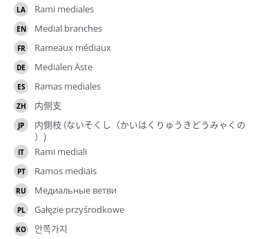 翻译