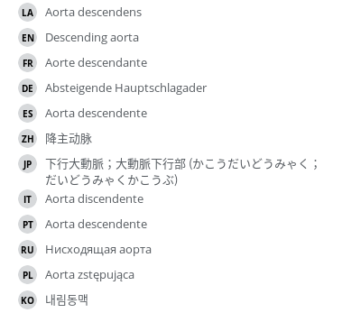 翻译
