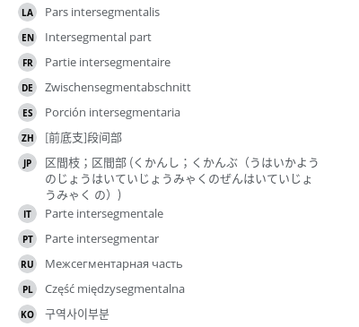 翻译
