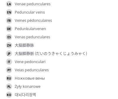 翻译