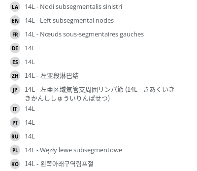 翻译