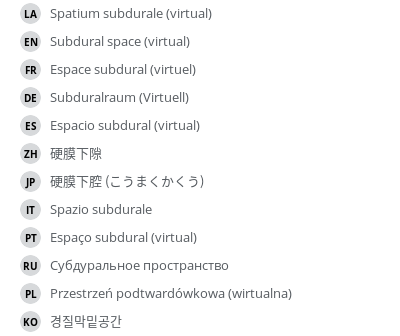 翻译