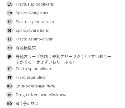 翻译