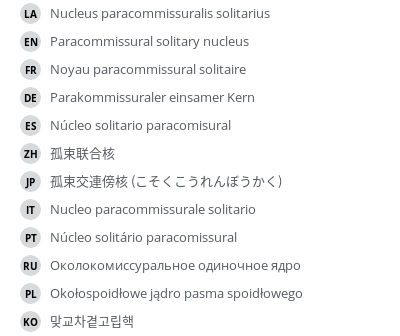 翻译