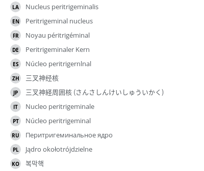 翻译