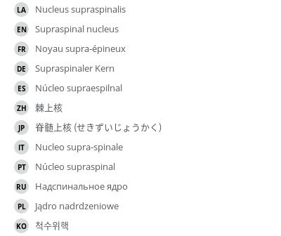 翻译