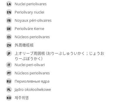 翻译