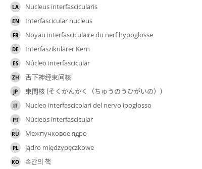 翻译