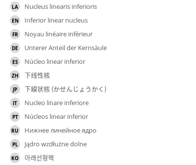 翻译