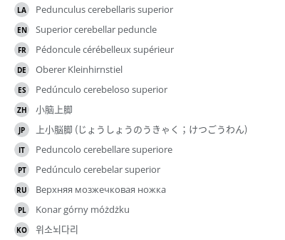 翻译
