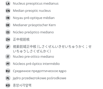 翻译
