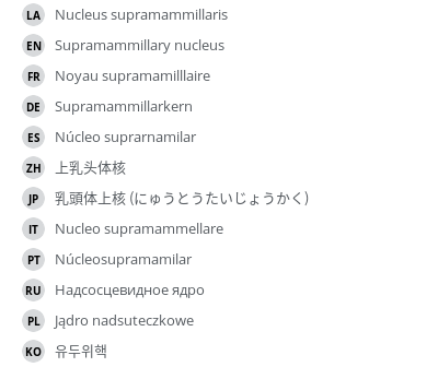 翻译