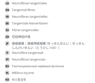 翻译
