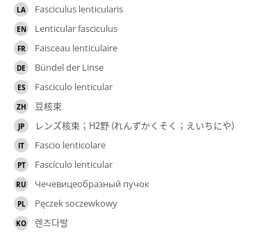 翻译