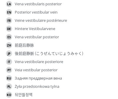 翻译
