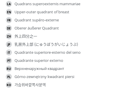 翻译