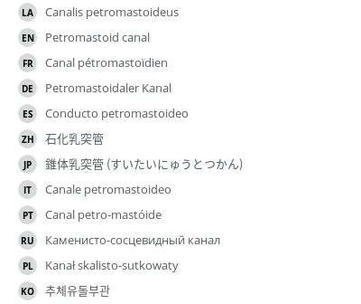 翻译