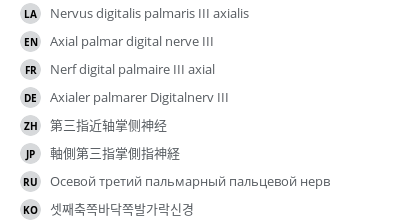 翻译