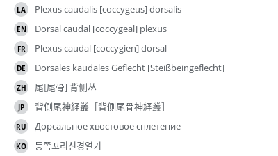 翻译