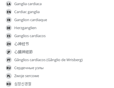 翻译