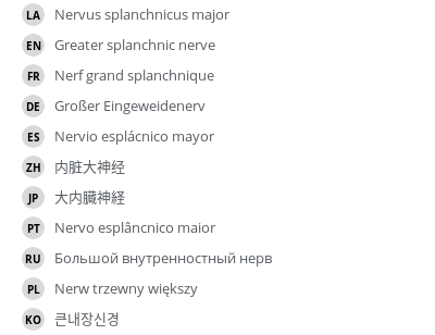 翻译