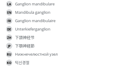 翻译