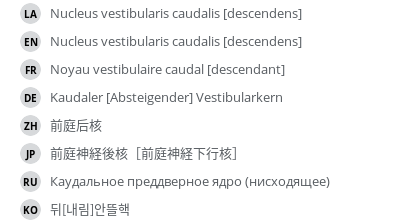 翻译