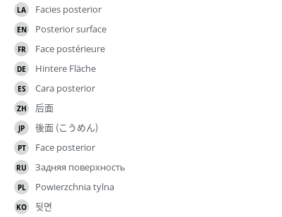 翻译