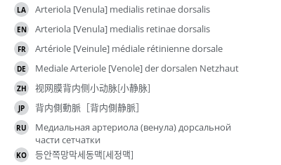 翻译