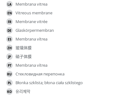 翻译