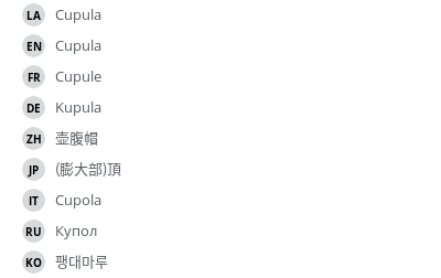 翻译