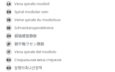 翻译