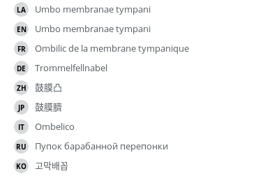 翻译