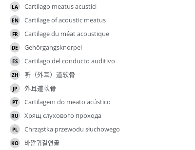 翻译