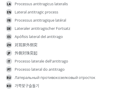 翻译